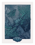 Spring Show - Complete 17 Print Set
